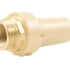 PERT Brass Spigot Transition Fitting - Male BSPT