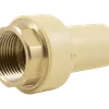 PERT Brass Spigot Transition Fitting - Female BSP